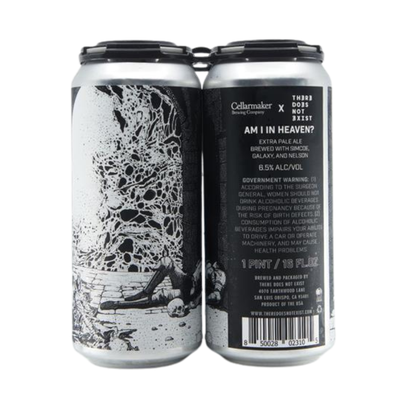 There Does Not Exist Rotating Pale Ale 4-Packs - LoveScotch.com