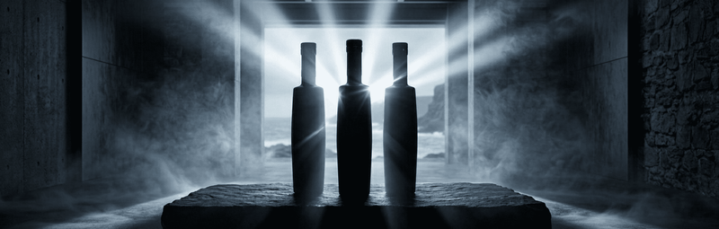Bruichladdich Octomore Whisky 17
