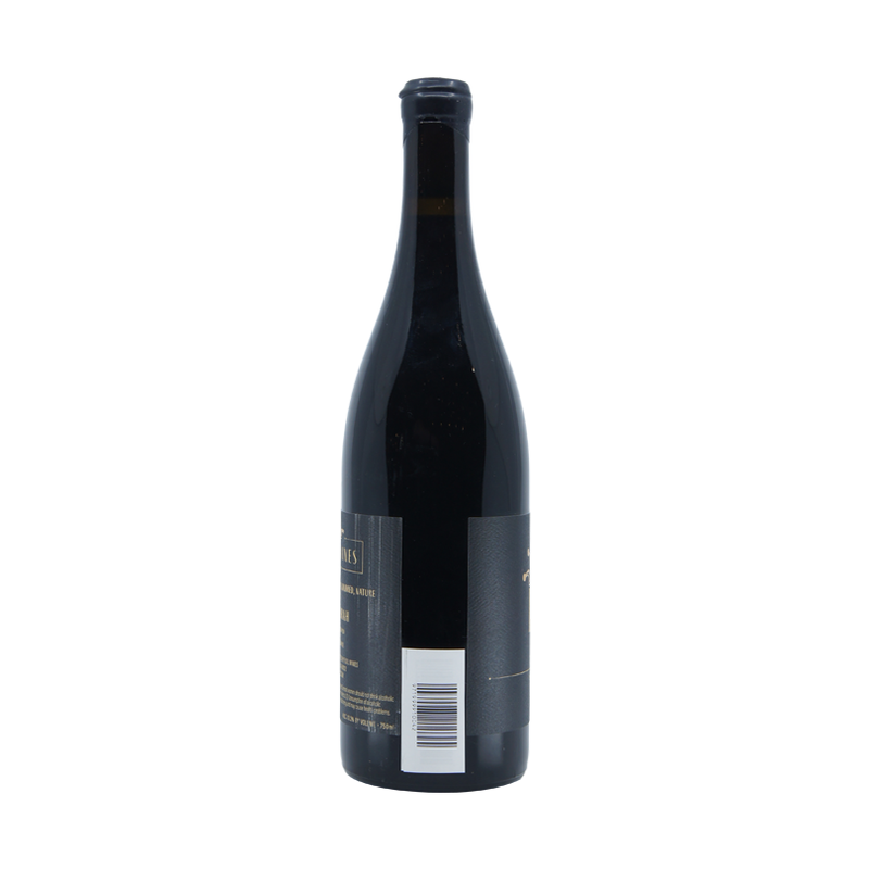 Fuil Syrah 2021 - LoveScotch.com