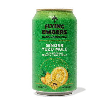 Flying Embers Ginger Yuzu Mule Hard Kombucha 6-Pack - LoveScotch.com