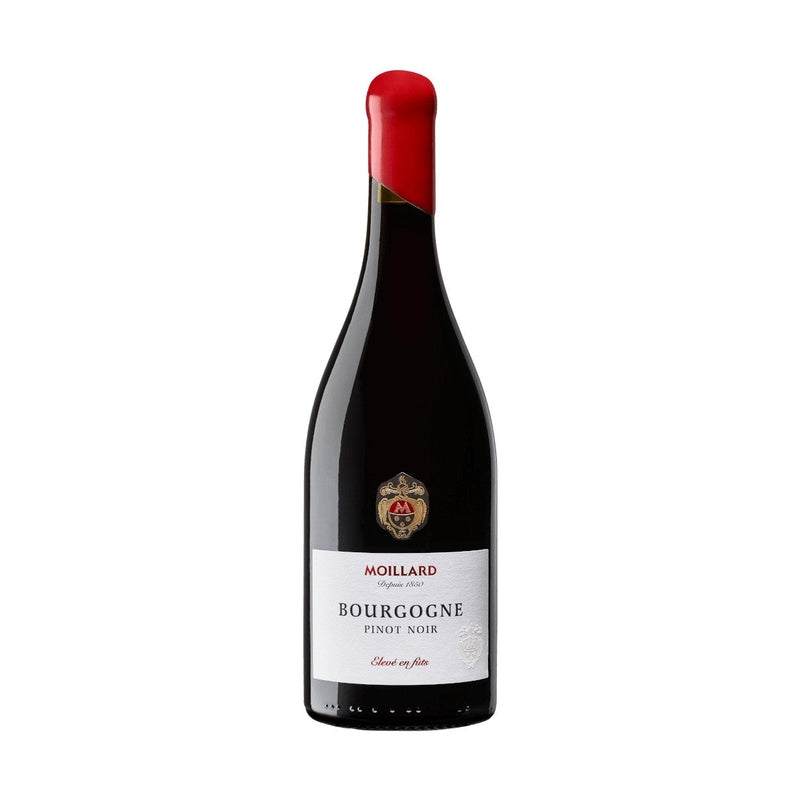 Moillard Bourgogne Pinot Noir 2023 - LoveScotch.com