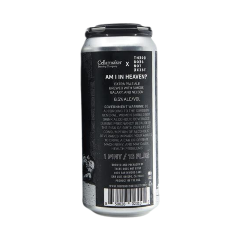 There Does Not Exist Rotating Pale Ale Single Can - LoveScotch.com